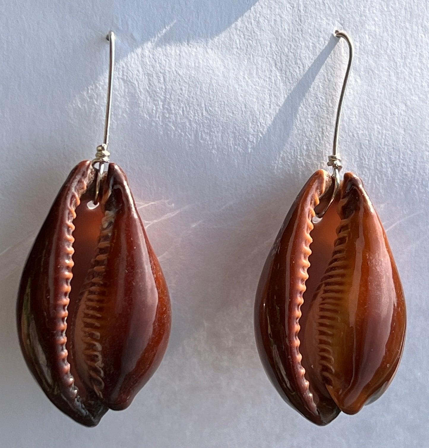 Core Adusta Cowrie Earrings I - Ventral