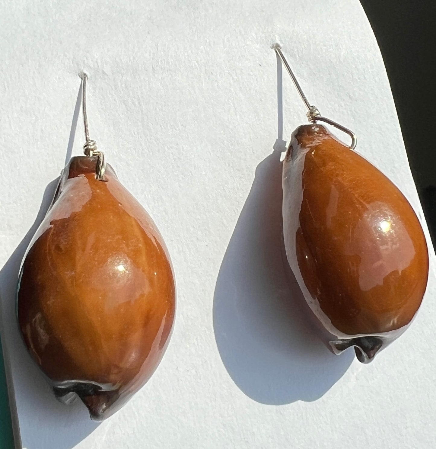 Core Adusta Cowrie Earrings I - Ventral