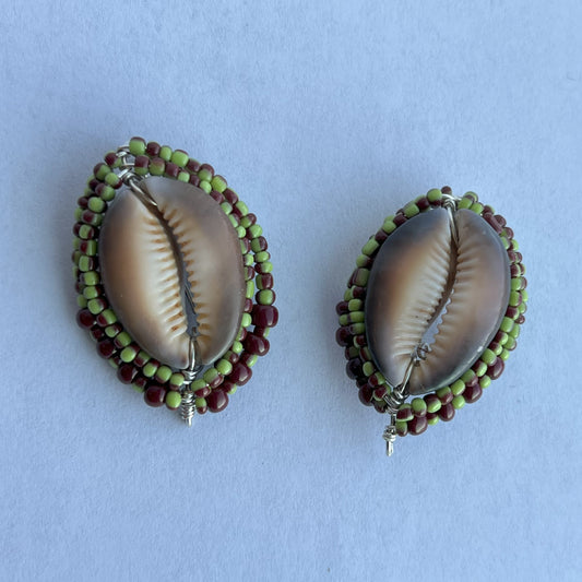 Inverted Striped Brown and Green Serpent's Head Cowrie Shield 1